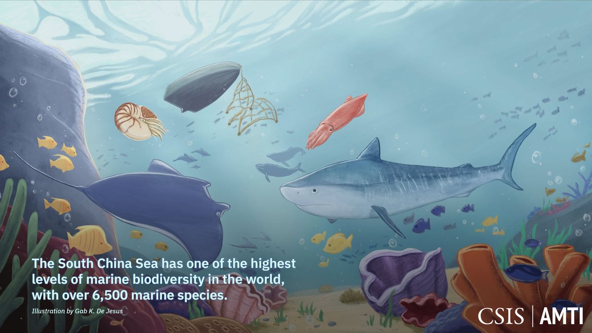 Human activity is causing severe ecological damage in the South China Sea. In recent decades, increased fishing, dredging, and land fill, along with giant clam harvesting, have taken a devastating toll on thousands of species found nowhere else on earth: cs.is/47alHTA