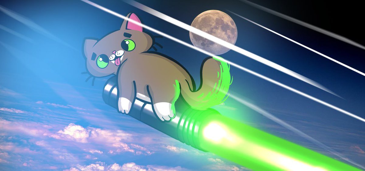 Lilbub_Sol's tweet photo. This special cats journey to the moon has only just begun.

$lilbub $bub https://t.co/1wJXj2W6Uf