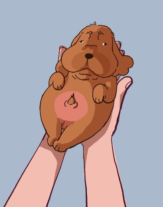 「dog holding animal」 illustration images(Latest)