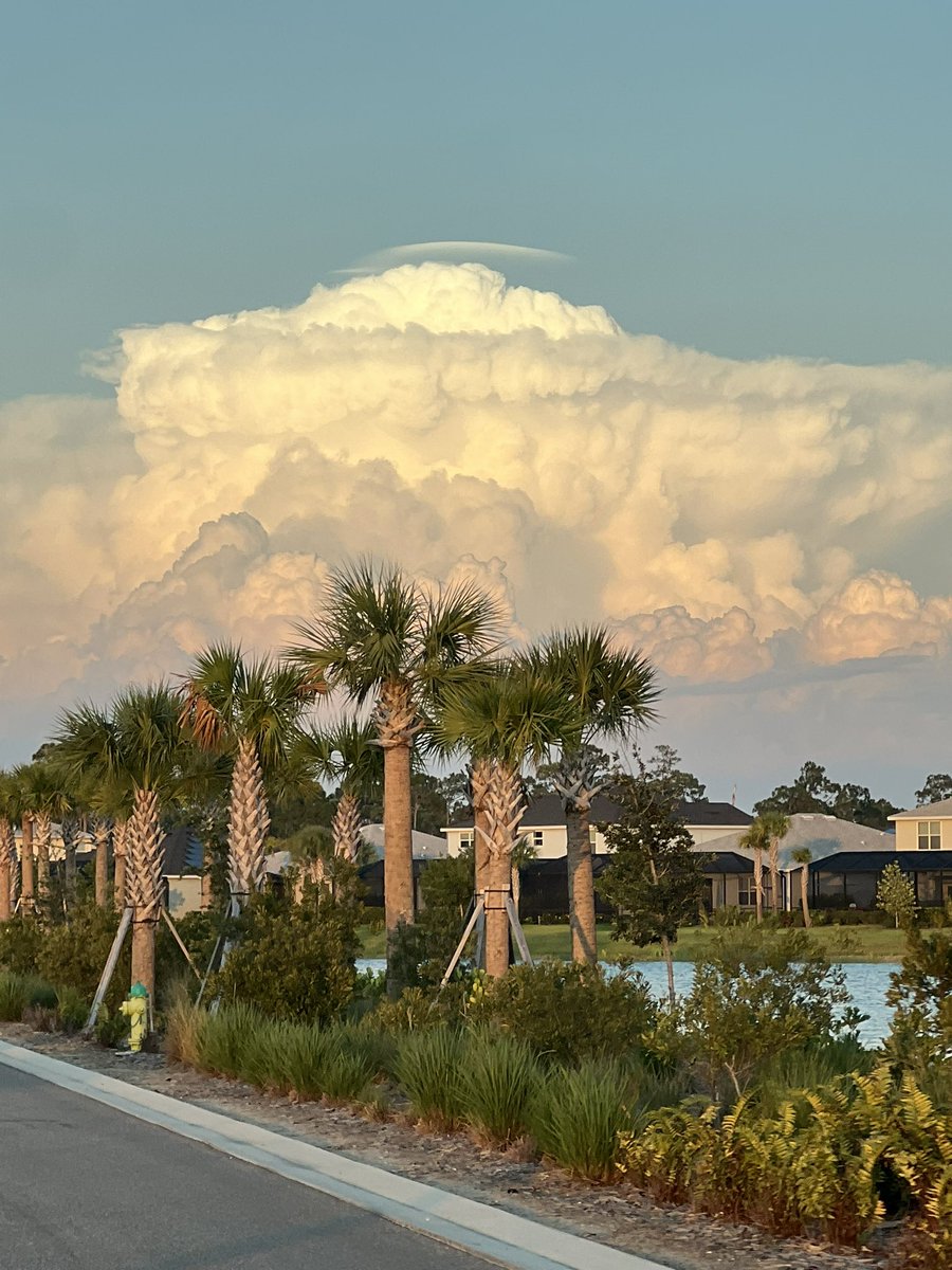 Nice pileus cloud action of top of this storm near Lake Okeechobee, Florida. 💯 @WINKNews @stormhour