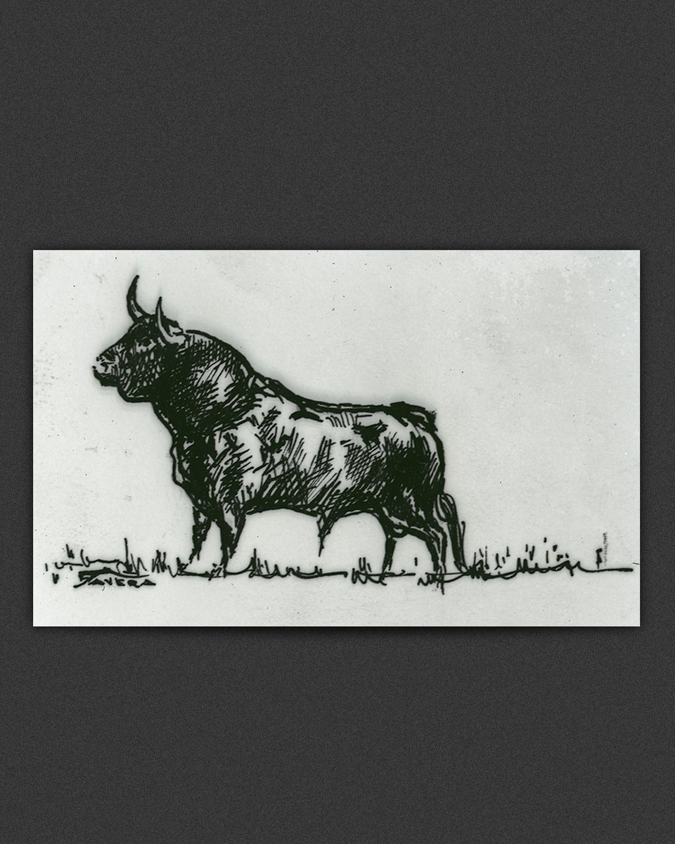 BibliotecaNalCo's tweet photo. 🐂 Contra la crueldad.

Desde la Biblioteca Nacional de Colombia celebramos la decisión del Congreso de la República de prohibir las corridas de toros en todo el país.
🧵 https://t.co/p7ktkJmUgd