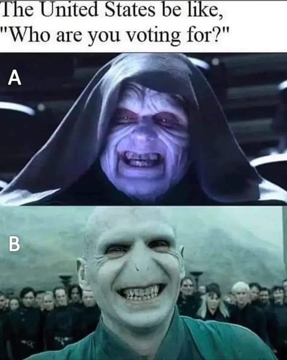 Timothy Imholt tweet media