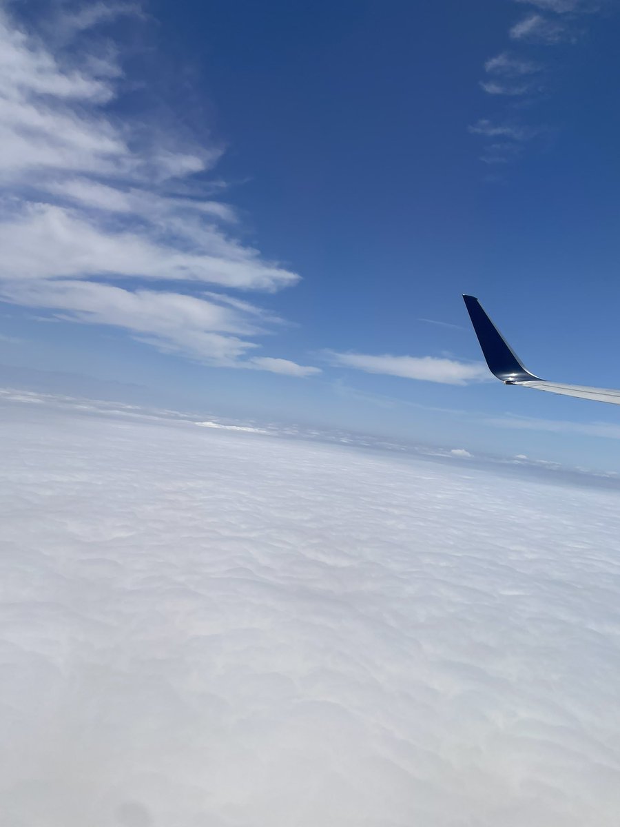 3rd time this month. It always amazes me how beautiful the sky is with the clouds! #ontheroad #flying #entrepreneurlife #traveling #conference #womanownedbusiness #minorityownedbusiness  #storytelling #storyteller #FractionalCMO #supplierdiversity