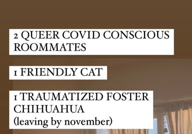 Ailie Orzak (@ailieorzak) on Twitter photo 