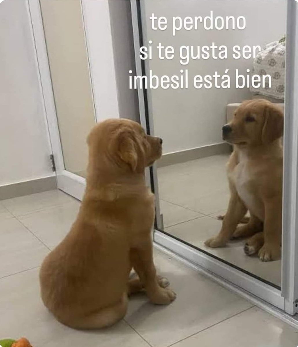 Psicólogo: Tenes que aprender a perdonarte y hablar contigo mismo.

Yo: