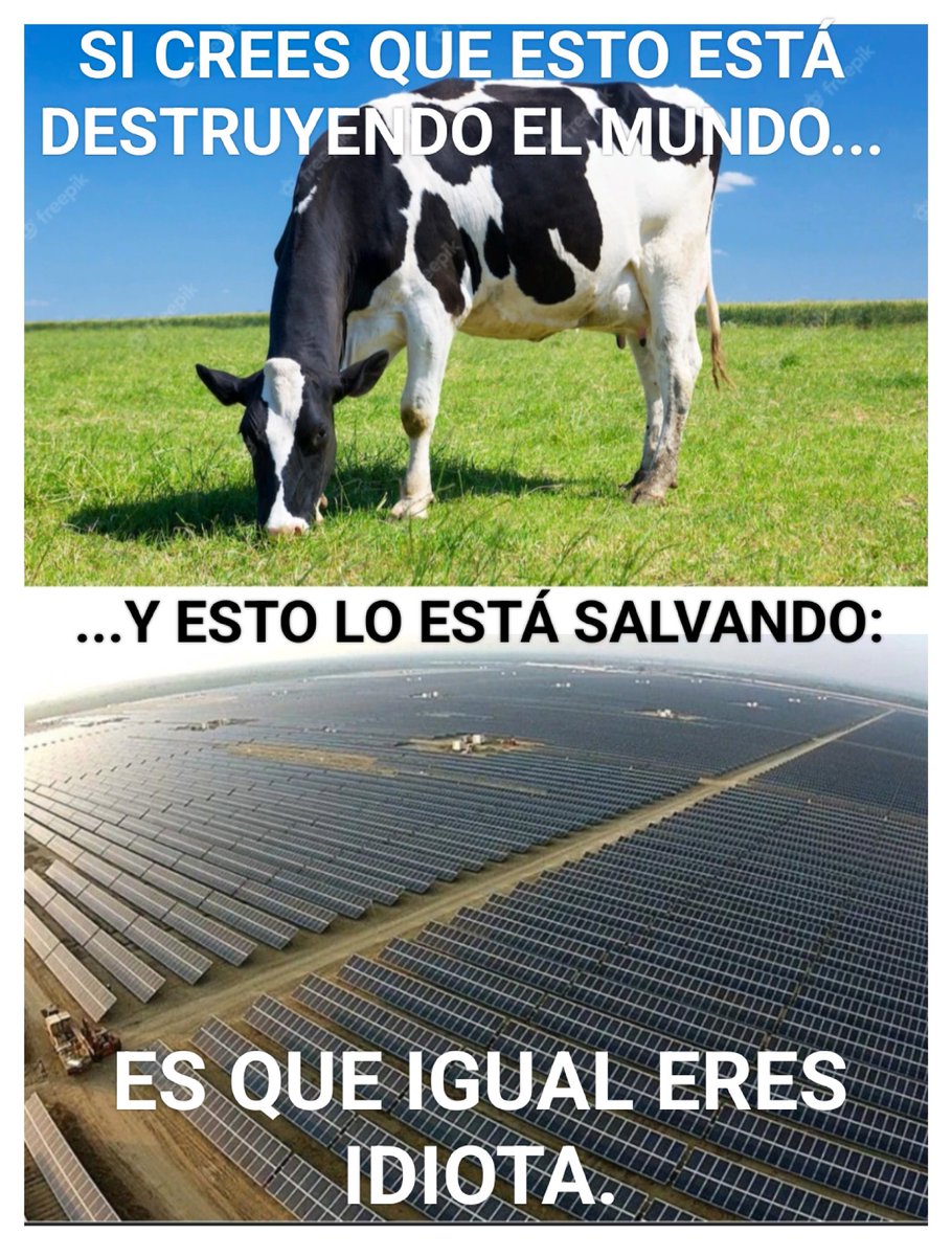 ¡E𝕏partano! - Ryan Gonzalez C. - Abogado🇩🇴 tweet media