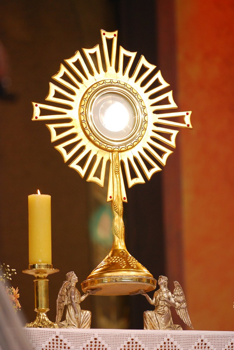 The Eucharist connects us to the entire history of salvation and the future glory of heaven.