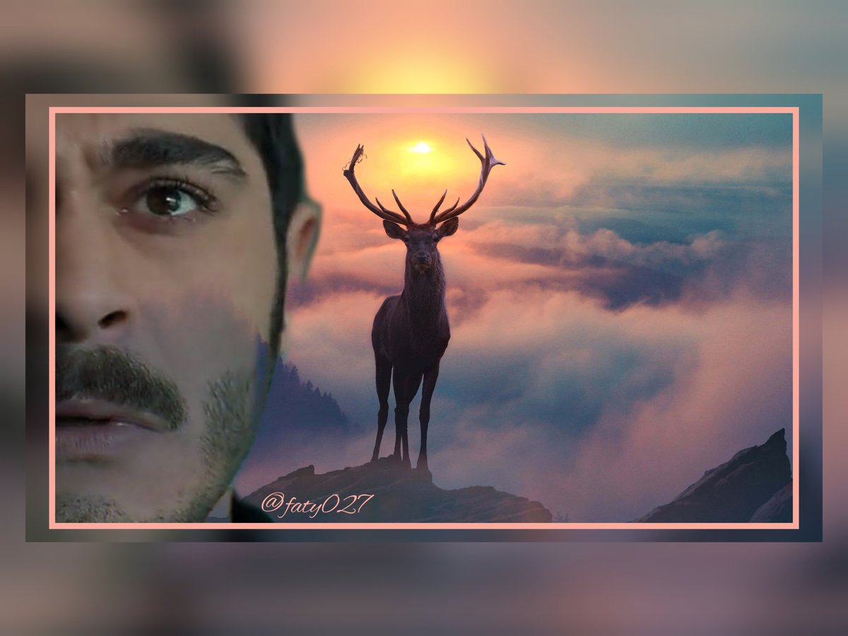 #Maraşlı 🦌😎✨💛..

#BurakDeniz