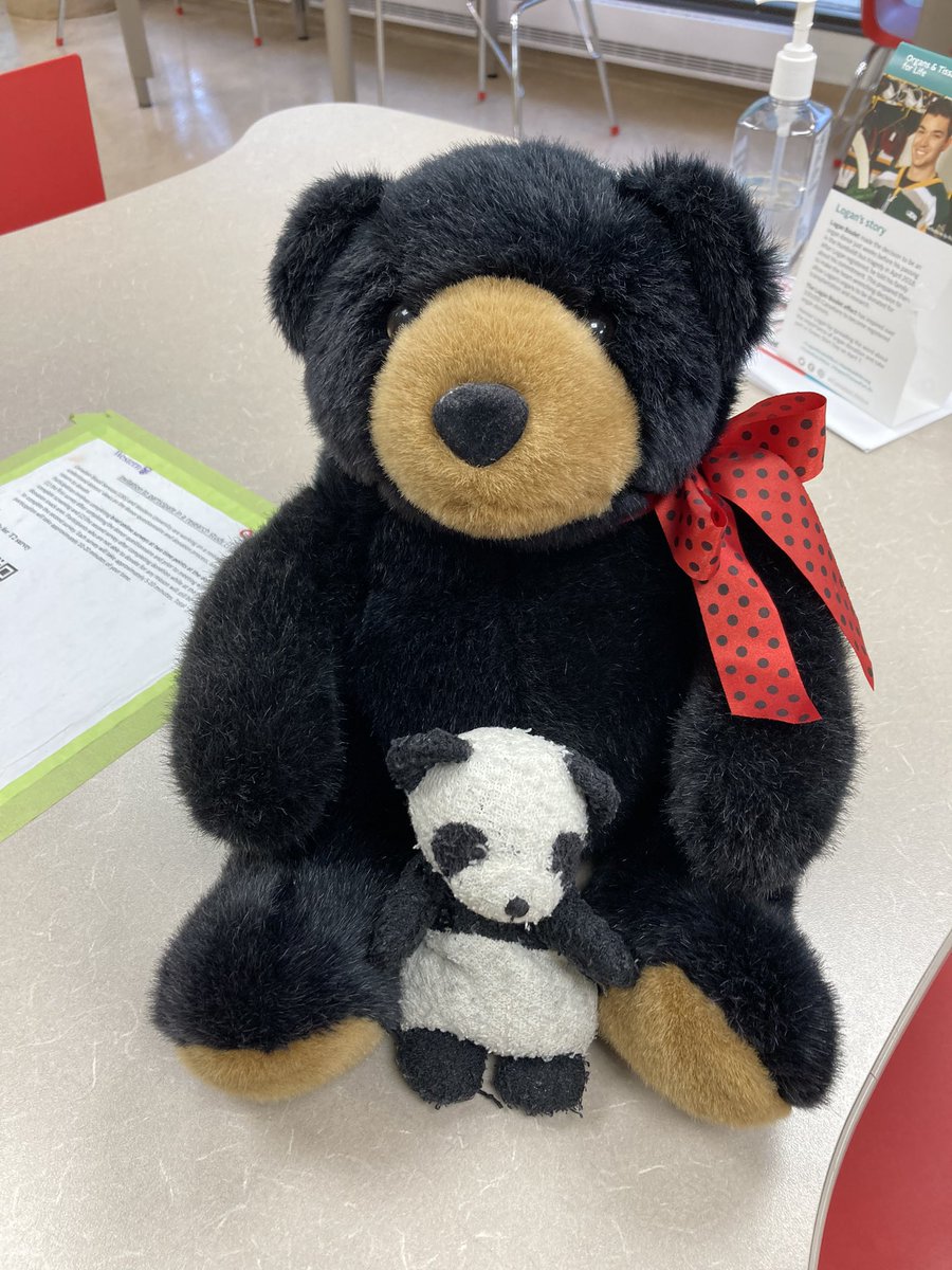 Tonight’s very important adventure was to the blood donor clinic. After my human donated blood, we met this amazing bear who was supervising the snack station. #bearsWithJobs #helpful @CanadasLifeline #blood #giveblood #bloodDonor #bloodDonation #CanadianBloodServices