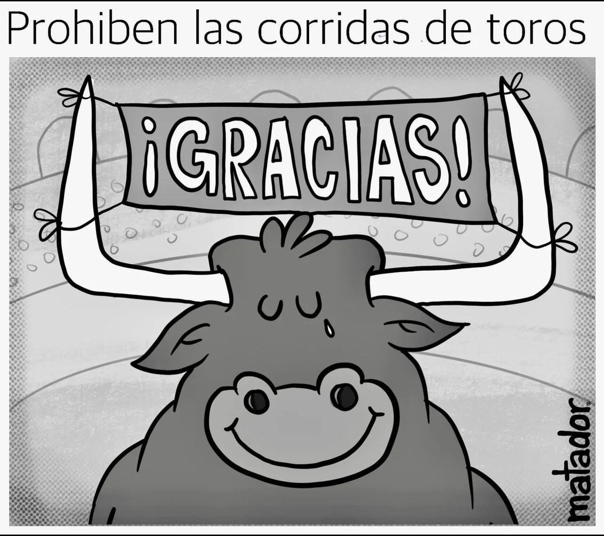 #NoMásOlé: Hasta el día de hoy sigo sin entender qué placer lleva a algunos seres humanos a disfrutar de la tortura de un animal antes de su sacrificio, y elevan ese acto barbárico a “arte”. Para esa reedición de circo romano, construyen grandes plazas, edificios y arenas.