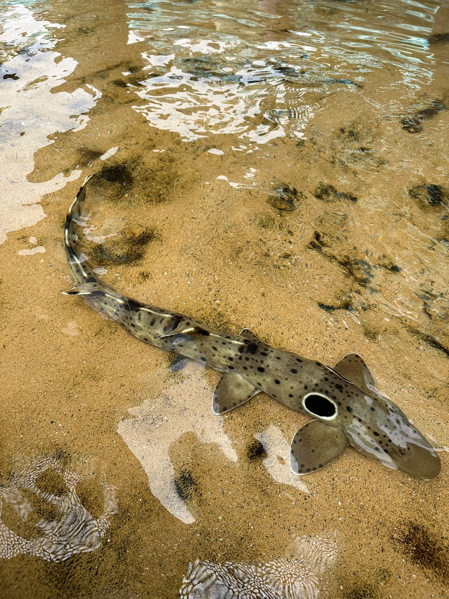 Bethany Larkin tweet media