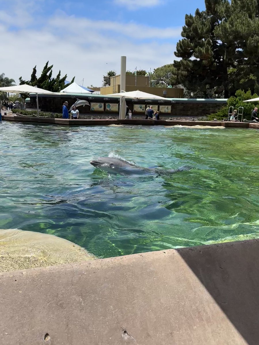 Bethany Larkin tweet media