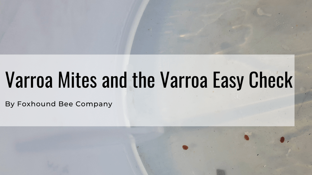 We want to stick our heads in the sand when it comes to Varroa, but it really is something we should know more about. The worst part of varroa is the better your bees do, the better varroa does as well.

bit.ly/41l20XY 
#varroa #varroamites #beekeeping