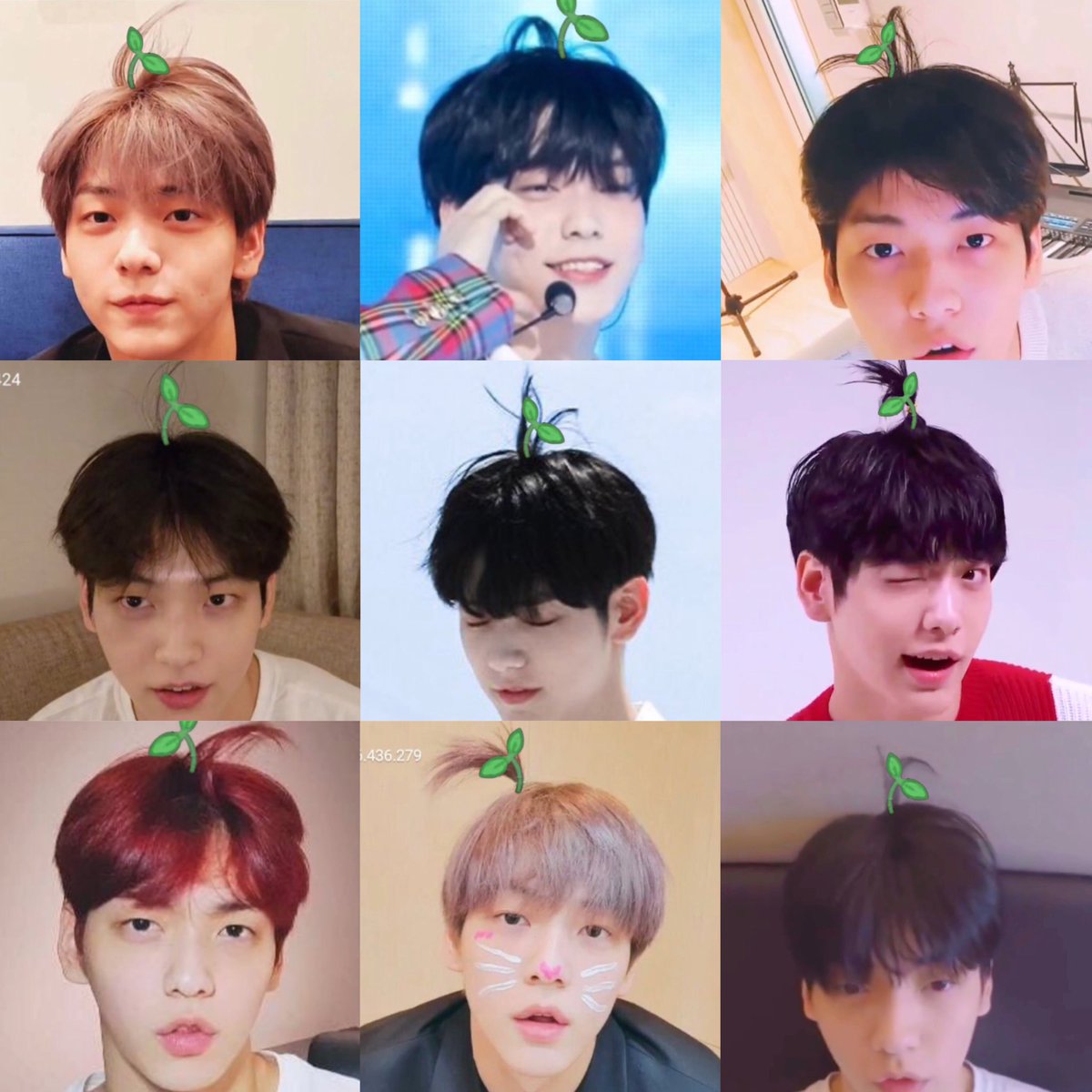 soobin sprout ♡︎🌱