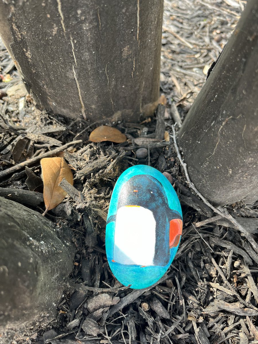 ZHEbuzz's tweet photo. 40: #UpandDown by @oliverjeffers Hidden up high to fly as of 7:39 PM 05/29/24.  #rockart  #paintedrock #readingrocks #rockart #katytx #rockhunt #summerreading #childhood #kindnessrocks #penguin https://t.co/IDc6yPqznj