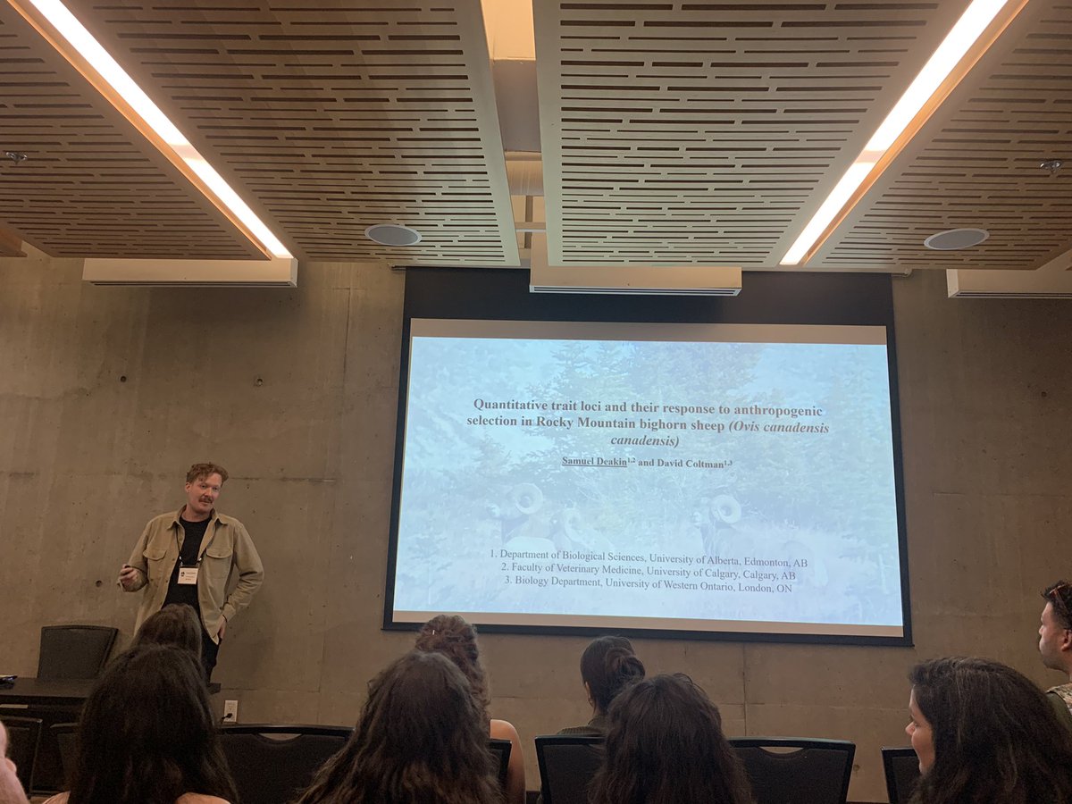 Last but not least, @Sam_Deaks presented some his PhD work in the @Coltman_Lab on QTL mapping (GWAS) for fitness-related traits in Ram Mountain bighorn sheep and possible impacts of trophy hunting on QTL allele frequencies #CSEE2024