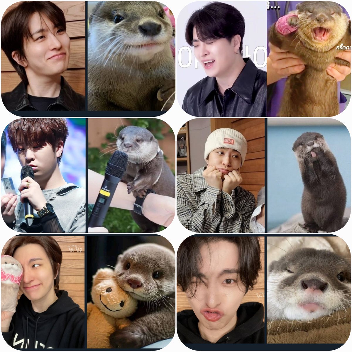 ssKJJ_CYJss's tweet photo. 🦦วันนากโลก🦦 
น้องนากไหนน่ารักสุดกันน๊า 🤭 https://t.co/LiPWQCvMyf