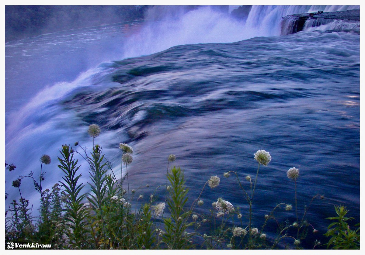 QP your pastel photos  📸

Mine, 👇 

#niagarafalls #niagara #newyork #niagarafallsUSA #niagaraonthelake #travel #buffalo #niagararegion #nature #flowers #newyork #waterfall #usa #photography #venkkiclicks