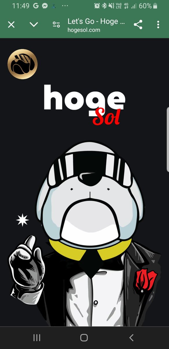 #Hogeonsol has another soul (again) on sol. Hoge dominated early 2021. No reason it cant dominate vs the likes of #flokisol and #shibasol