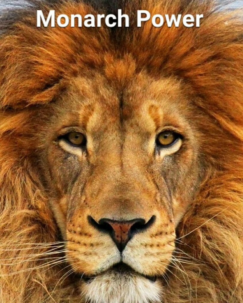thomas50shipley's tweet photo. @CoachPeck11 https://t.co/CMsVFtpafB