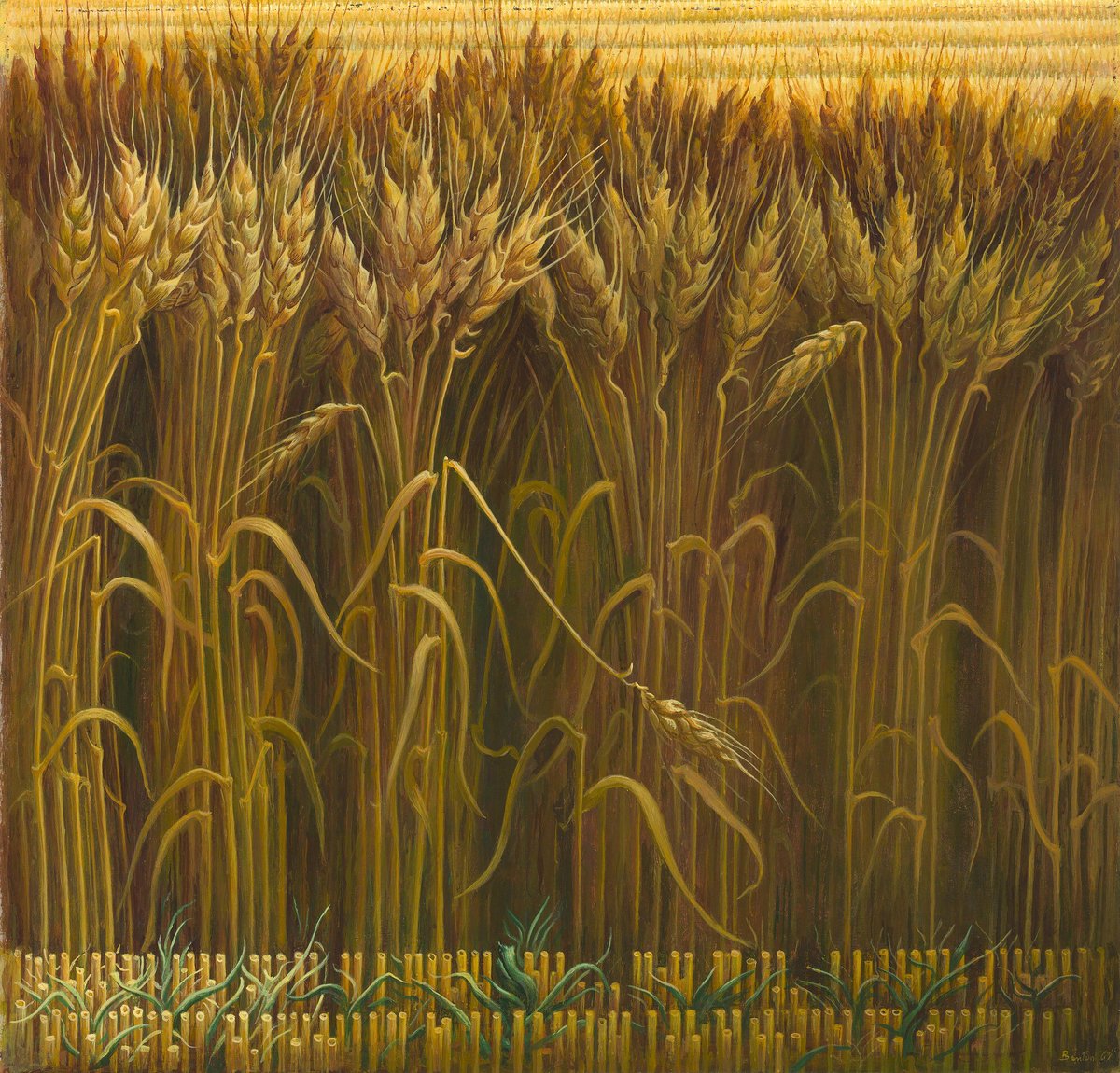 #Maddow #WagnerTonight #LastWord @11thHour 
Modern Monday on Tuesday 

Art Break 5
Thomas Hart Benton-“Wheat”(1967)
Oil on wood
SAAM

1.6FT x 1.8FT