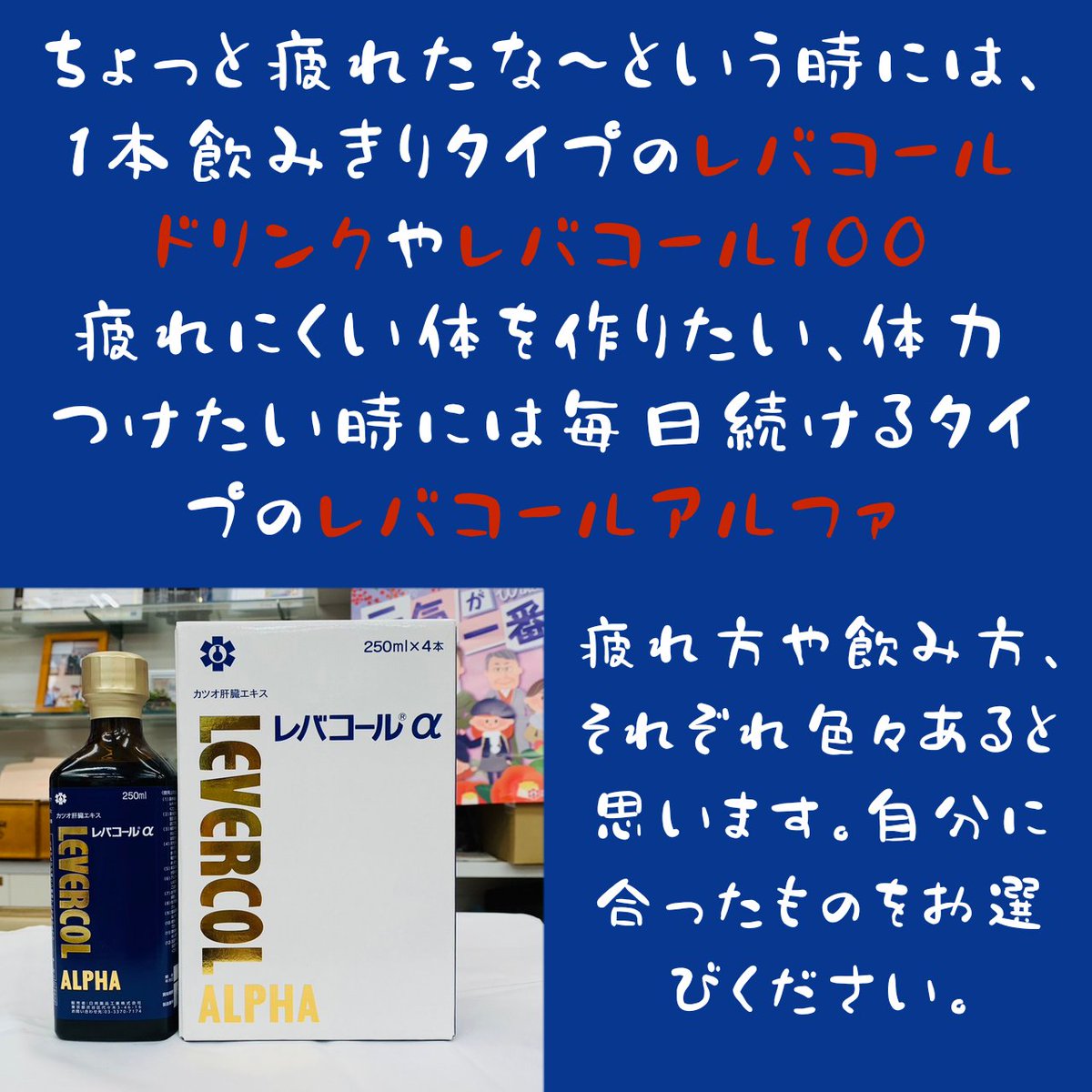 レバコールα カツオ肝臓エキス 250ml x 24本 レバコールα カツオ肝臓エキス 250ml x 24本