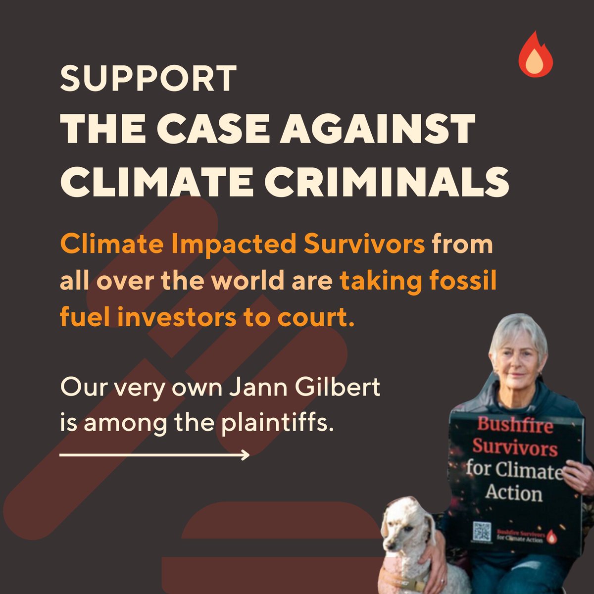 Bushfire Survivors for Climate Action tweet media