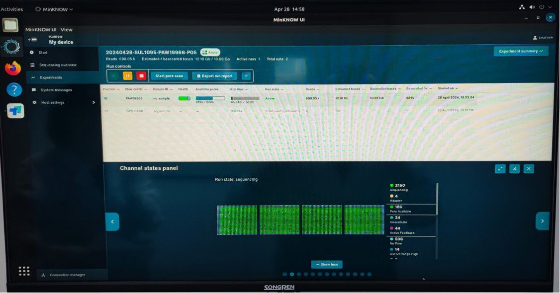 benagen3571's tweet photo. Our @Nanopore PromethION 48 #P48 sequencer operates close to half capacity, yielding a staggering 3TB of data per run. Real-time data feedback streamlines statistics and enables efficient chip performance monitoring. #RNA-seq #nanopore#DirectRNA #RNA #Nanopore #PromethION #Gene https://t.co/abpcLESgOG