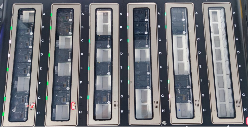 benagen3571's tweet photo. Our @Nanopore PromethION 48 #P48 sequencer operates close to half capacity, yielding a staggering 3TB of data per run. Real-time data feedback streamlines statistics and enables efficient chip performance monitoring. #RNA-seq #nanopore#DirectRNA #RNA #Nanopore #PromethION #Gene https://t.co/abpcLESgOG