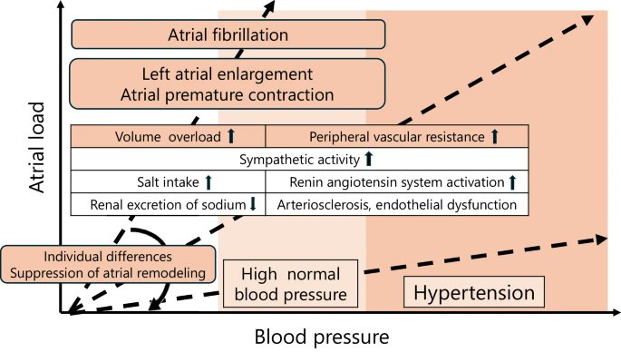 #Hypertens_res Adv. Online Pub.
⭐️Comment
How should we treat high-normal blood pressure and pre-atrial fibrillation?
Kabutoya T, Kario K

doi.org/10.1038/s41440…
@JSHypertension @SpringerNature
by SME. K