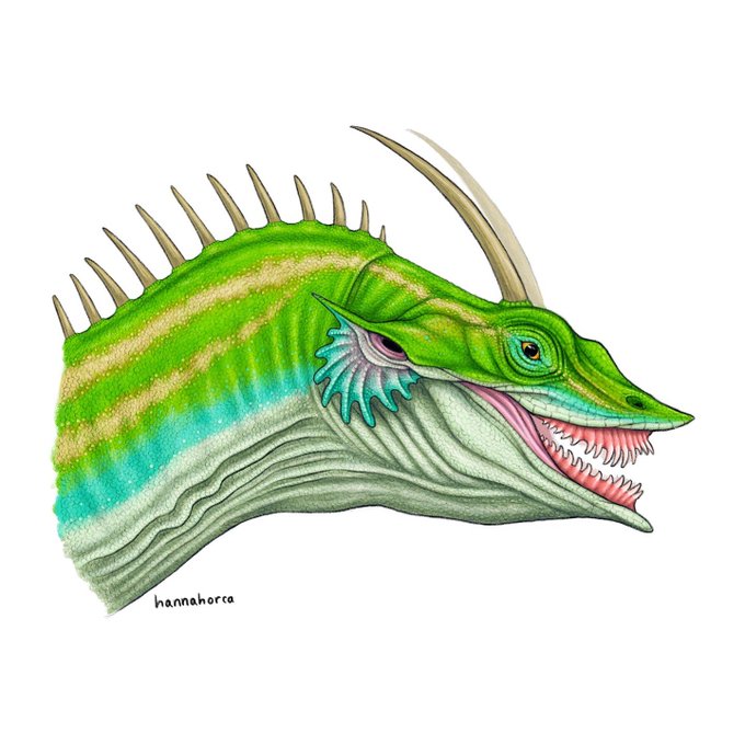 「monster sharp teeth」 illustration images(Latest)