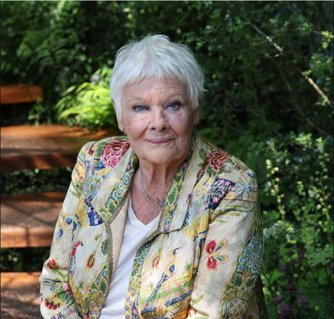 Chelsea Flower Show, 2024 Press Day Photographer: Stephen Lock #JudiDench #ChelseaFlowerShow