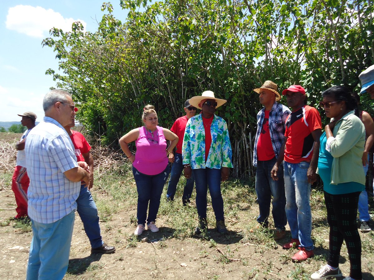 Junto a @BeatrizJUrrutia, primera secretaria del @PartidoPCC en #SantiagoDeCuba, visitamos los polos productivos 9A, Riverí, El sitio y Santa Rita en el municipio #PalmaSoriano. Hay mucho por hacer para cumplir los compromisos y avanzar hacia la soberanía alimentaria.