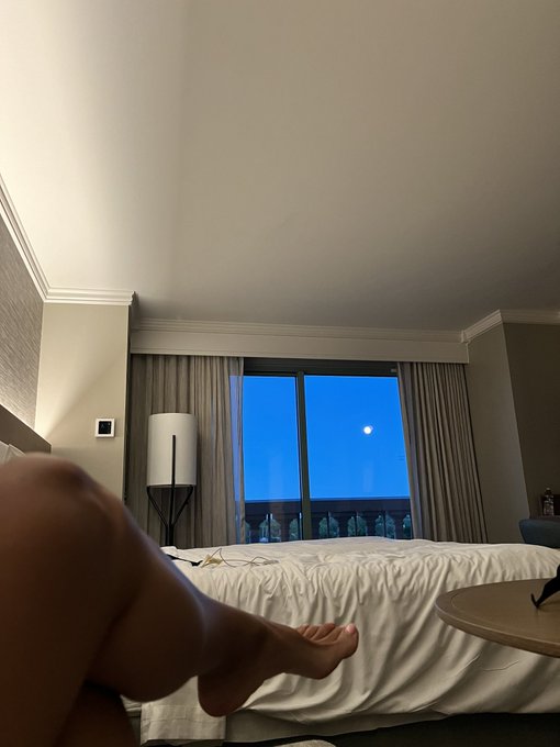 Can&rsquo;t complain https://t.co/tK3YrO9CWy<a href="/tag/blissidys"class="tags"><span>#blissidys</span></a>