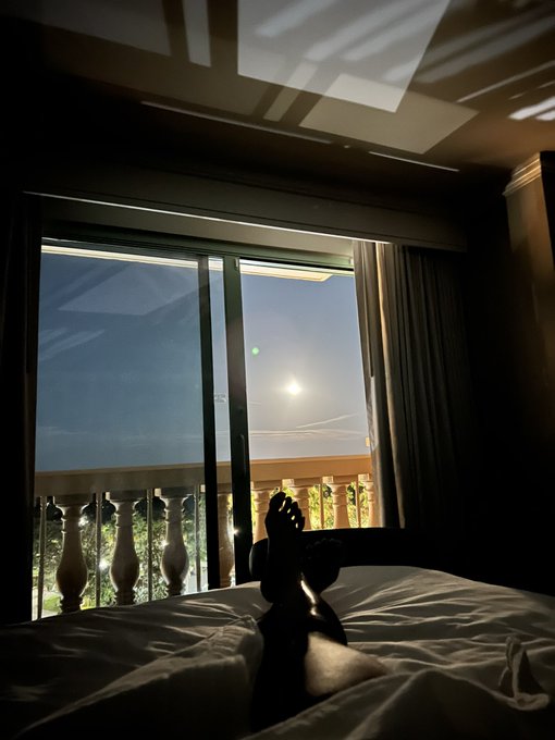 Can&rsquo;t complain https://t.co/tK3YrO9CWy<a href="/tag/blissidys"class="tags"><span>#blissidys</span></a>