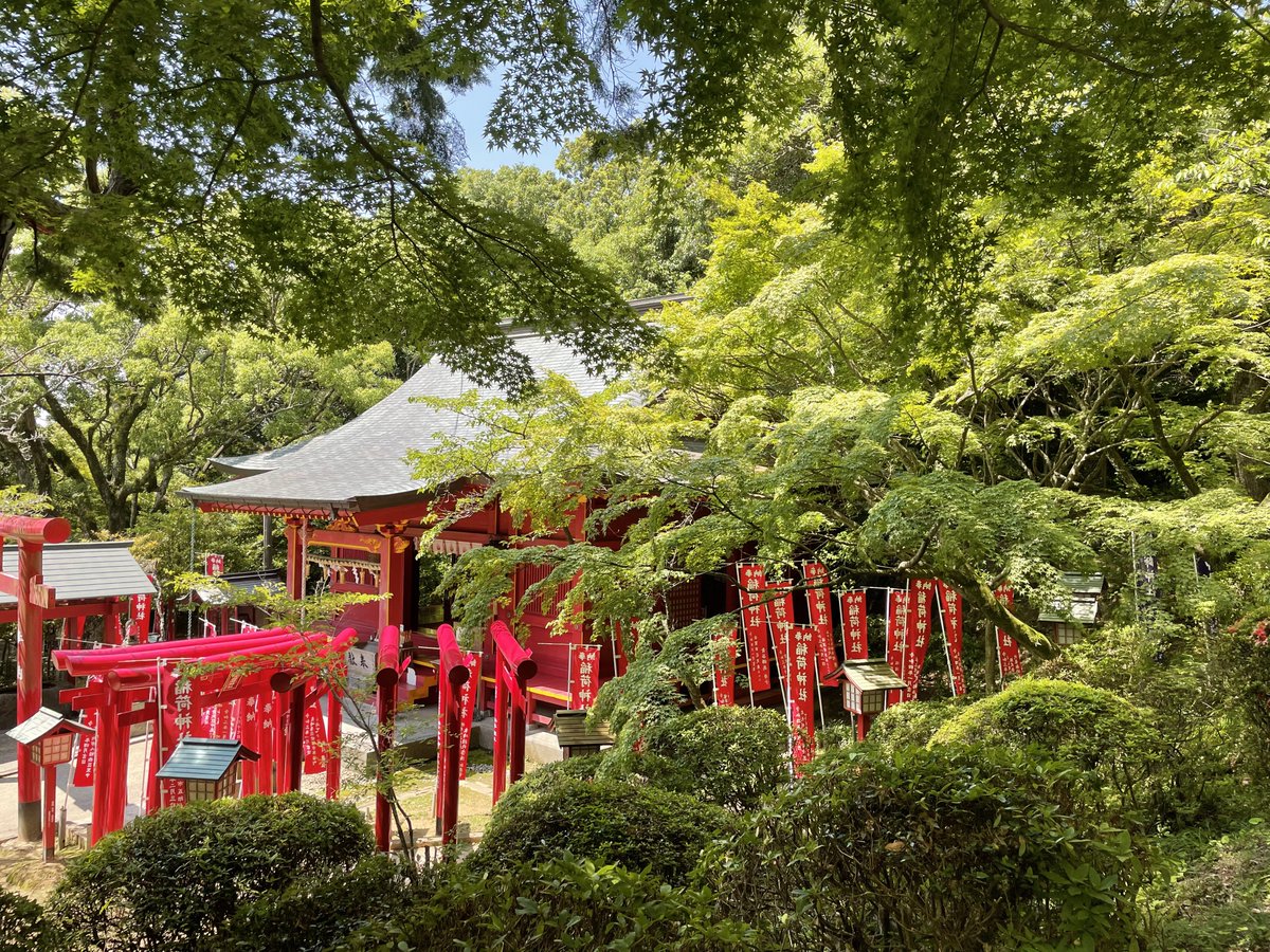 (ふりかえり)
2022.6.16  福岡県
宮地嶽神社