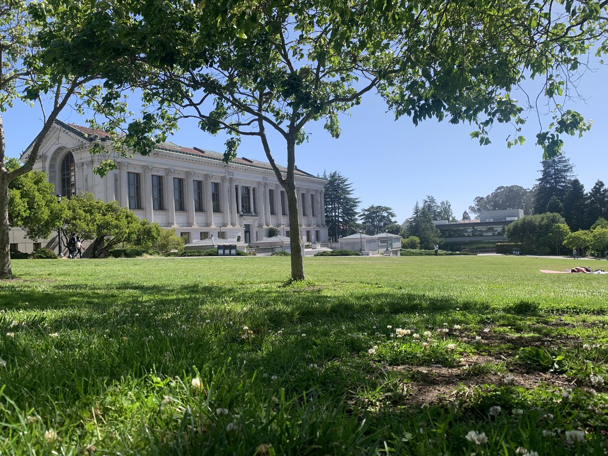 Summer afternoon nap at @UCBerkeley