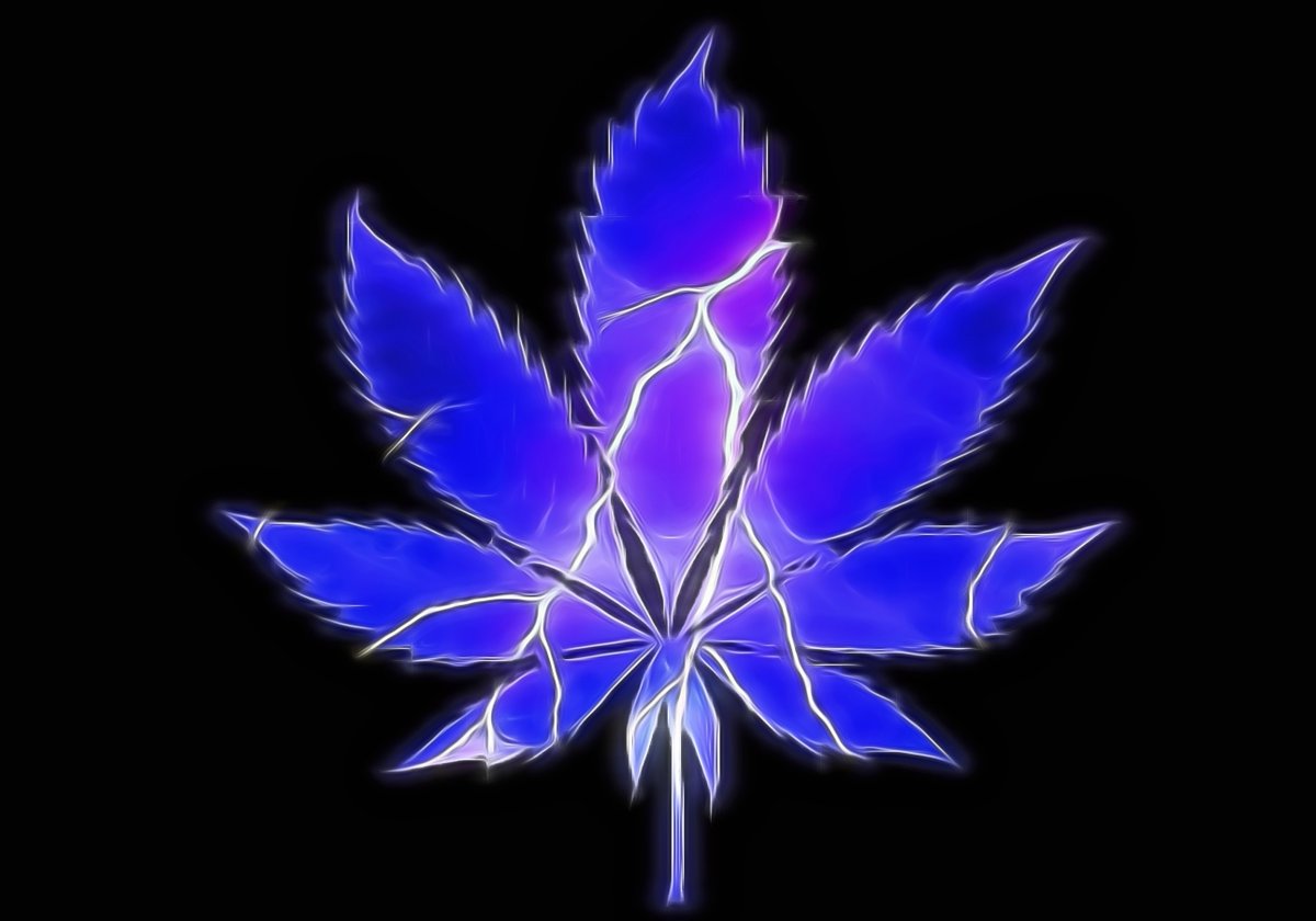 We had a big thunder storm tonight ⚡️🌩️ But I don't care, I'm inside smokin weed & chillin 🍃🔥☁️☁️☁️ 
#StonerFam #WeedLife #CannabisCommunity #CanadianCannabis #cannabisculture #WeedLovers #420life #Weedart #Weedporn #LeafArt