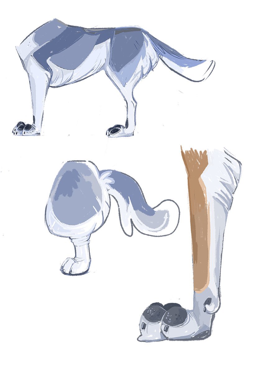 slaneDausy's tweet photo. Very intriguing. Here’s my dog and wolf leg and paw realistic reference no watermark realism cartoon anime dog anatomy paws and legs wolf anatomically correct digital art https://t.co/xVmFzl1I6K
