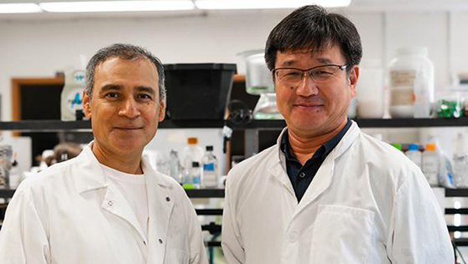 Two @CTAHRNews researchers secured a $150,000 Sun Grant Western Region grant to evaluate bioenergy's role in Hawaiʻi's path to net-zero energy by 2045, focusing on anaerobic digestion of agricultural waste ➡️ bit.ly/4a8R0j1 #UHMResearch