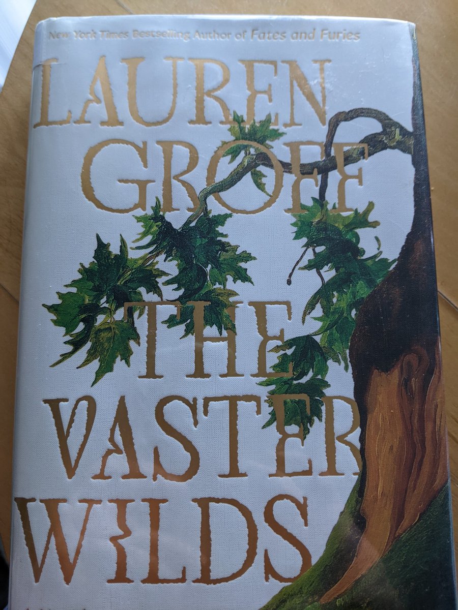 daydreamcottage's tweet photo. Here's an ekphrasic idea: look at the Prince King's recent portrait and read this book The Vaster Wilds by Lauren Groff 📚🎨🖼️ 
#amreading #novel #read #ekphrasic #art #ekphrasicart https://t.co/4KCD11sMLo