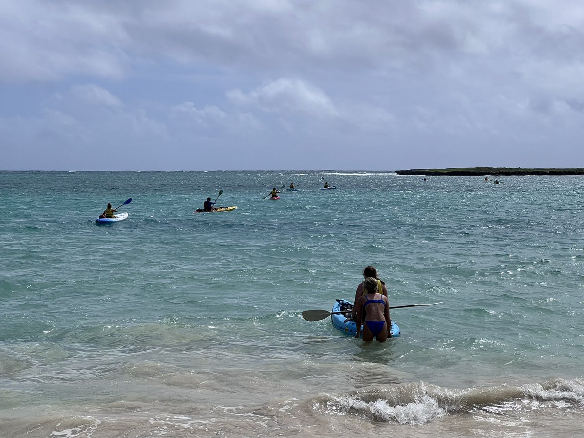 jaysondibble's tweet photo. All smiles today from the #AlohaMayTerm crew as we spent our final full day on island kayaking & marveling the beauty of #KailuaBeach. Thatβs thanks to #KailuaBeachAdventures. Tomorrow we bid aloha to Hawai`i & head home. What an experience! π§‘π€π½π @HopeCollege @Hopeoffcampus https://t.co/SNSiZqBTrz