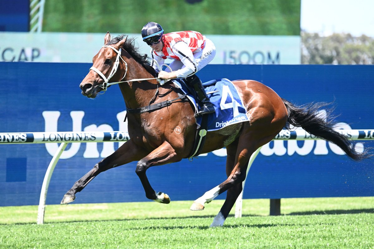 Waterford has opened up as a $4 favourite in Saturday's Lord Mayors Cup at Rosehill! 🏆