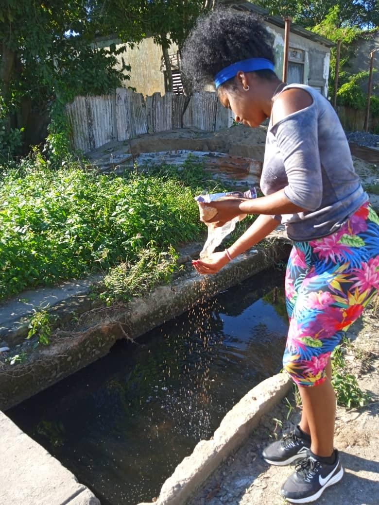 Con acciones de promoción de la información, conocimiento, exigencia, correcta aplicación de protocolos, divulgación, control de larvas, bloqueos y  fumigación, eliminaremos el Aedes aegypti.
#Cruces
#CienfuegosXMásVictorias