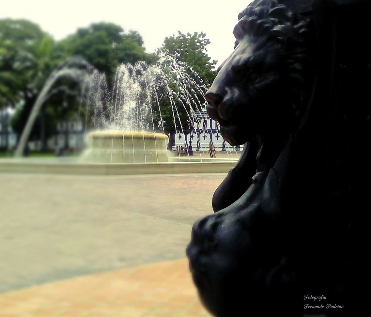 📸#Fotografia Plaza Bolívar de #Maracay <a href="/VillegasPoljak/">Ernesto Villegas Poljak</a> <a href="/CENAFotografia/">Centro Nacional de la Fotografía 📸</a> <a href="/GMVivaVzla/">Gran Misión Viva Venezuela</a> <a href="/VeMisionCultura/">Misión Cultura</a> 
#28May 

#PorAmorAVenezuela ☑️