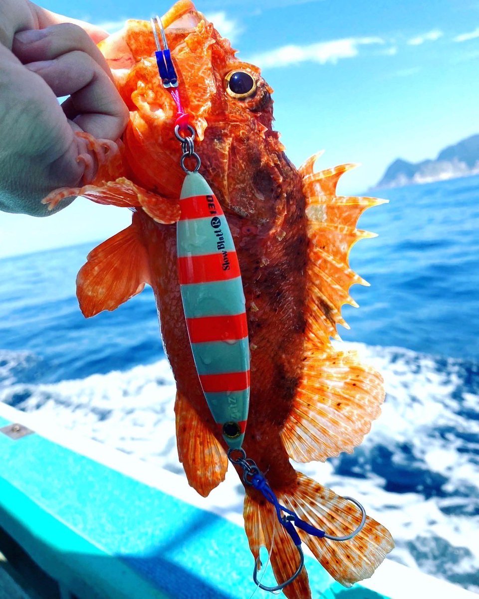 palms_global's tweet image. Slow Jigging with Slow Blatt L and R in Japan 🇯🇵
Rod: METAL WITCH QUEST 
Lure: Slow Blatt L and R 
Thank you Anna !!
 #palmsfishing #slowjigging #slowjig #slowpitchjigging #offshorejigging #jigging #deepseafishing @palms_japan