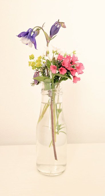 「pink flower still life」 illustration images(Latest)