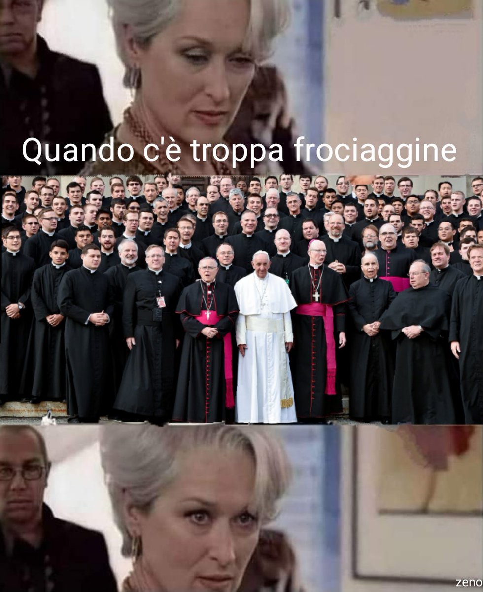 #papafrancesco #frociaggine