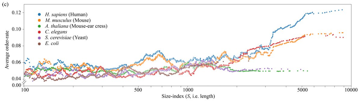 Evolutionary tinkering enriches the hierarchical and nested structures in amino acid sequences, Zecheng Zhang, Chunxiuzi Liu, Yingjun Zhu, Lu Peng, Weiyi Qiu, Qianyuan Tang, He Liu, Ke Zhang, Zengru Di, and Yu Liu #Networks go.aps.org/3yBXGct