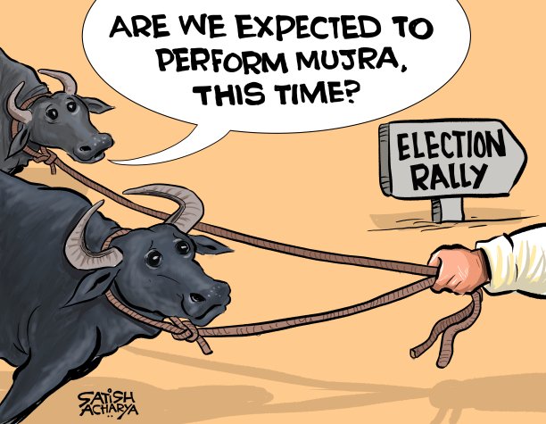 Mujra! #LoksabhaElections #Mujra #Bhains